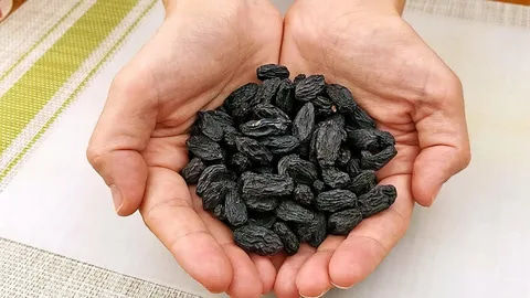 تصویر 4 از مویز انگور بی دانه مناسب ترکیب با مواد غذایی مختلف در آشپزی سنتی و مدرن